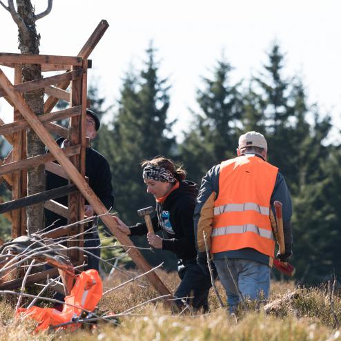 Summitree App Gesundheit Team Klimaschutz Unternehmen Nachhaltigkeit Bergwaldprojekt Harz