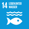 SDG 14