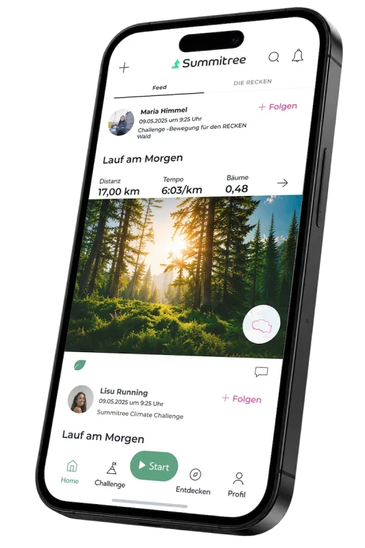 Summitree App -> jetzt NEU